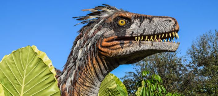 dino-park